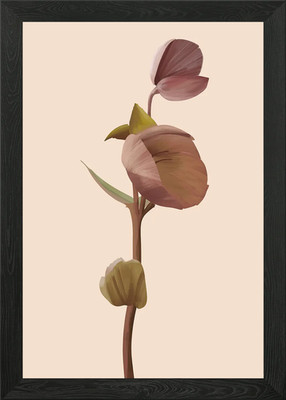Orchidea Flowers Framed Wall Art Poster Canvas Print Picture