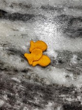 school of 3 goldfish crackers.