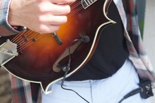 Mandriola Mandolin Pickup by Myers Pickups