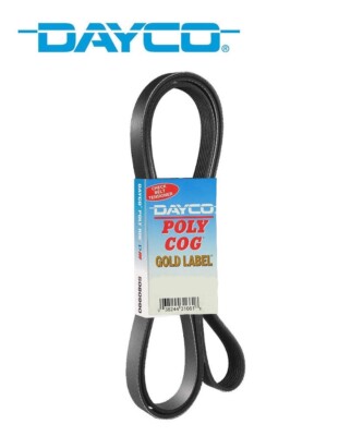NEW Dayco 5071248 Serpentine Belt | eBay
