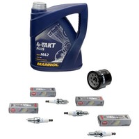 Inspektion ÖL 4L FüR Honda VFR 800 V-TEC RC46 2002-2013 Set ÖLfilter ZüNdkerzen