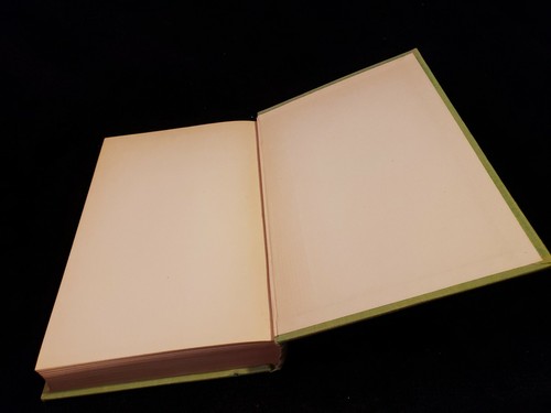 1927 first edition The Bright Threshold Janet Ramsay longmans green & co VGC - Imagen 8 de 11