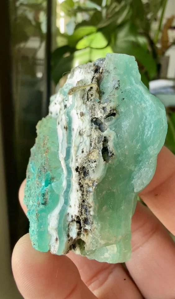 Gemmy Blue-Green Smithsonite Botryoidal Plate-Kelly Mine Socorro NM 7.2x5cm - Image 2 of 4