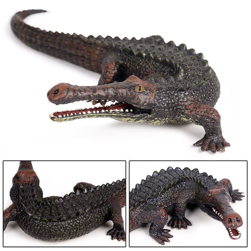 Sarcosuchus Crocodiles Alligator Wild Animal Figure Model Toy Collector Kid Gift - Picture 5 of 12