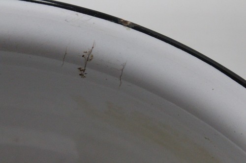 Vintage White & Black Enamelware Basin or Bowl - Picture 6 of 13