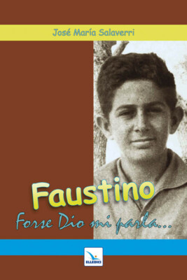 Faustino. Vielleicht spricht Gott zu mir - Salaverri José M.