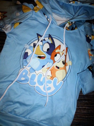 NEW Boutique Bluey Hooded Boys Girls Sweatsuit Outfit Set - Bild 2 von 3