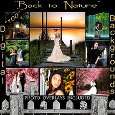 Digital Backgrounds Sandwhich Layered psd Props Nature Photography Backdrops 1Q