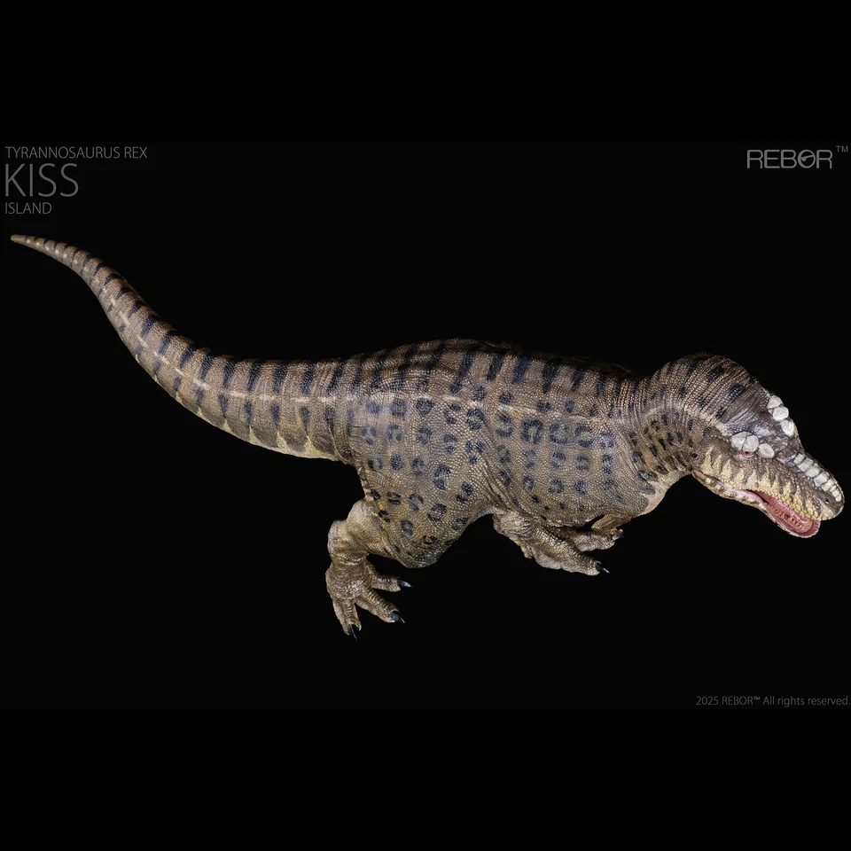 REBOR 1:35 Tyrannosaurus Rex “KISS” Isla Modelo Colección Dinosaurio Animal Regalo Foto 4 de 4