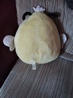 Picture 6 of 14