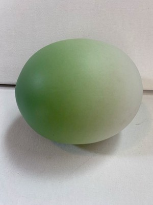 FAUX OSTRICH EGG - Dip-dyed, Gradient, Green White 4.5'' L, 13'' Around, Solid