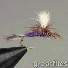 1 dozen (12) - Purple Haze - PARACHUTE