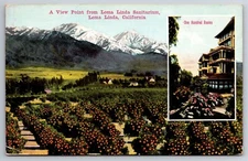 Postcard Loma Linda California Loma Linda Sanitarium Landscape and Mountain View