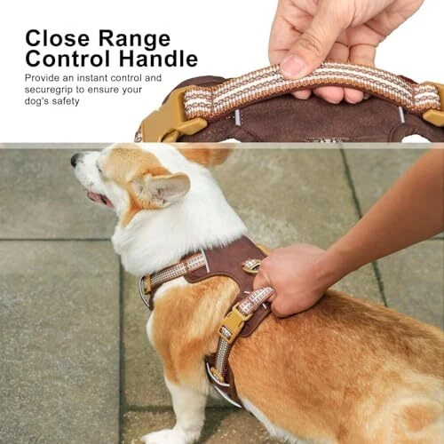 Dog Harness Medium Sized Dog,No Pull Pet M:Chest 26-33", Neck 19-27" Brown