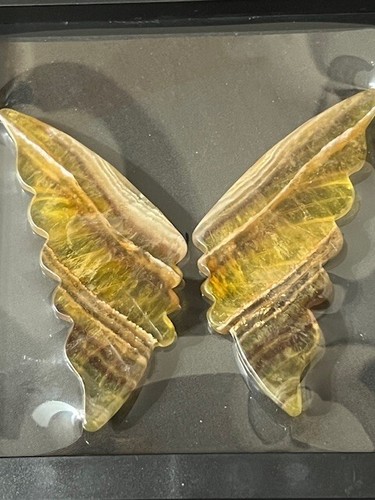 SPECTACULAR 3 1/2" GOLDEN FLUORITE BUTTERFLY WINGS. AWESOME TRANS-ILLUMINATION - Picture 12 of 24