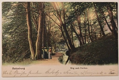 Ratzeburg Weg nach Farchau 1905 Litho Germany Women Forest Waldlandschaft AK gel