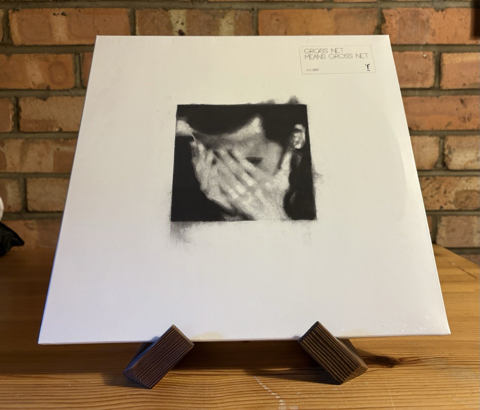 Gross Net Means Gross Net by Gross Net (Record, 2019) New  Sealed 12"" Vinyl LP