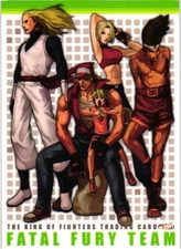 FATAL FURY TEAM The King Of Fighters SNK Playmore Collectible Trading Card