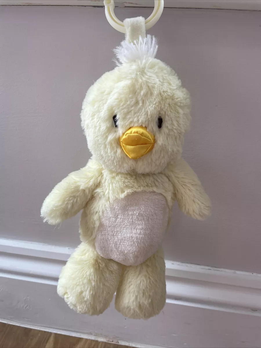 Kellytoy duck 2024