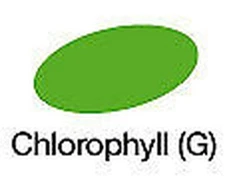 Marker To L'Alcohol Graph 'It 8150 Chlorophyll