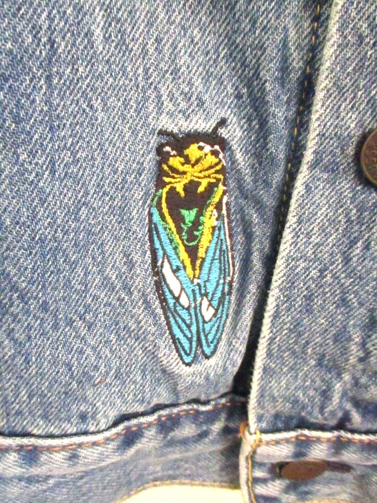 Picture 7 of 24