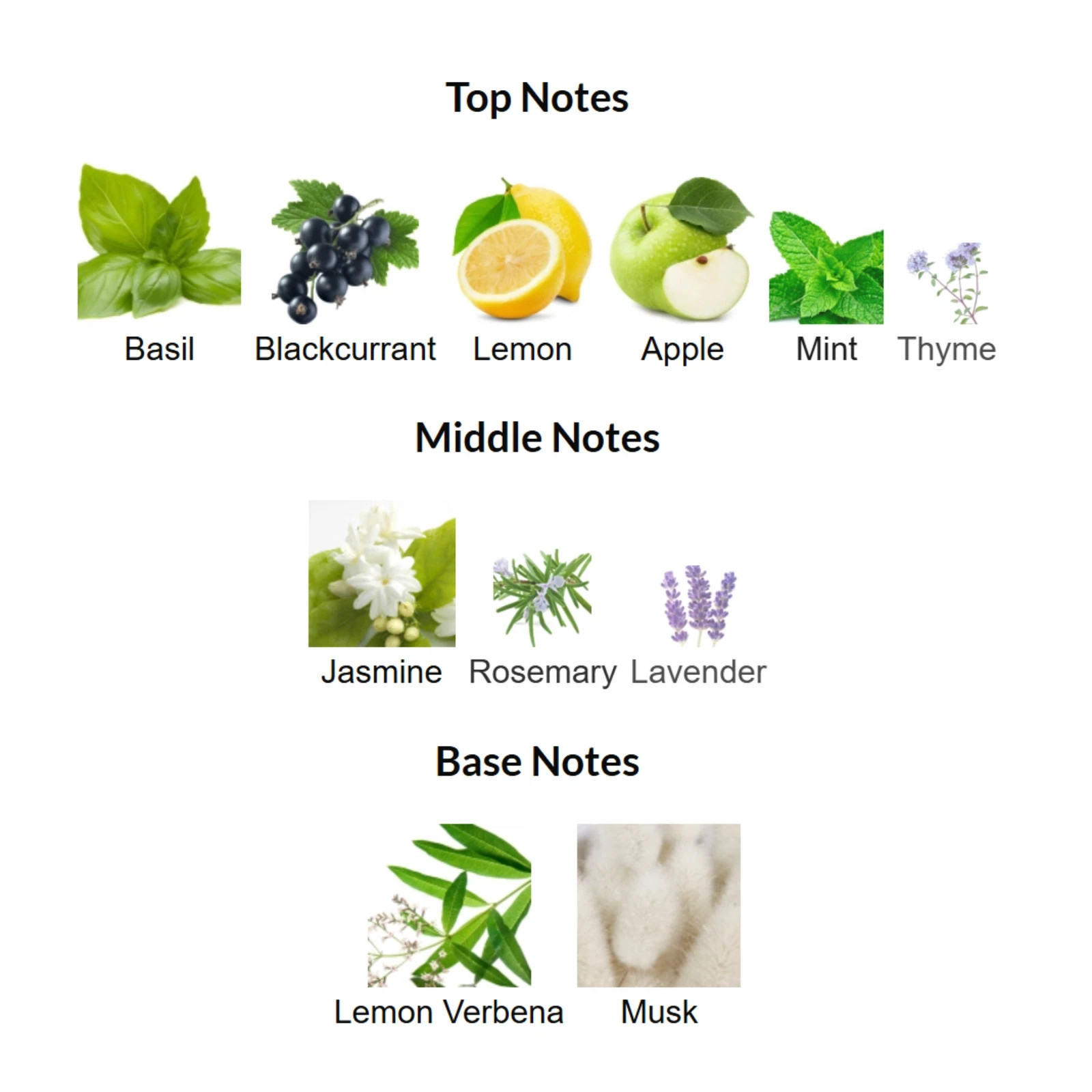 Mirsaal Valentine By Le Falcone Niche Collection EDP 3.4 oz/100ML BRAND NEW