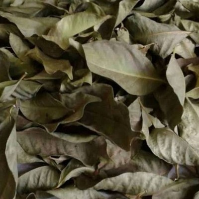 Bay Leaves (Daun Salam) Dried 50g Aromatic Cooking Spice | Artisan Quality