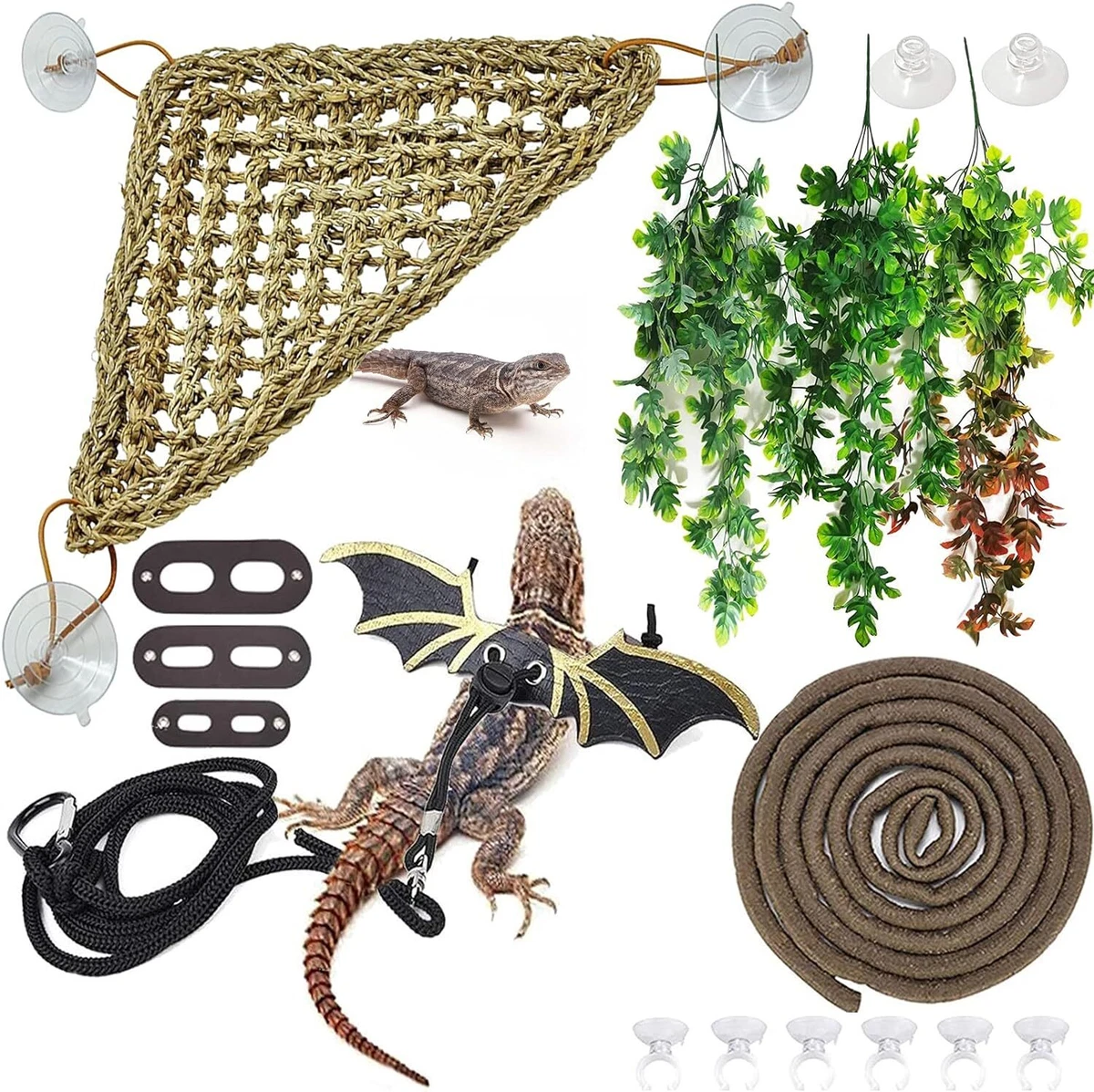 Bearded dragon habitat accessories 2025