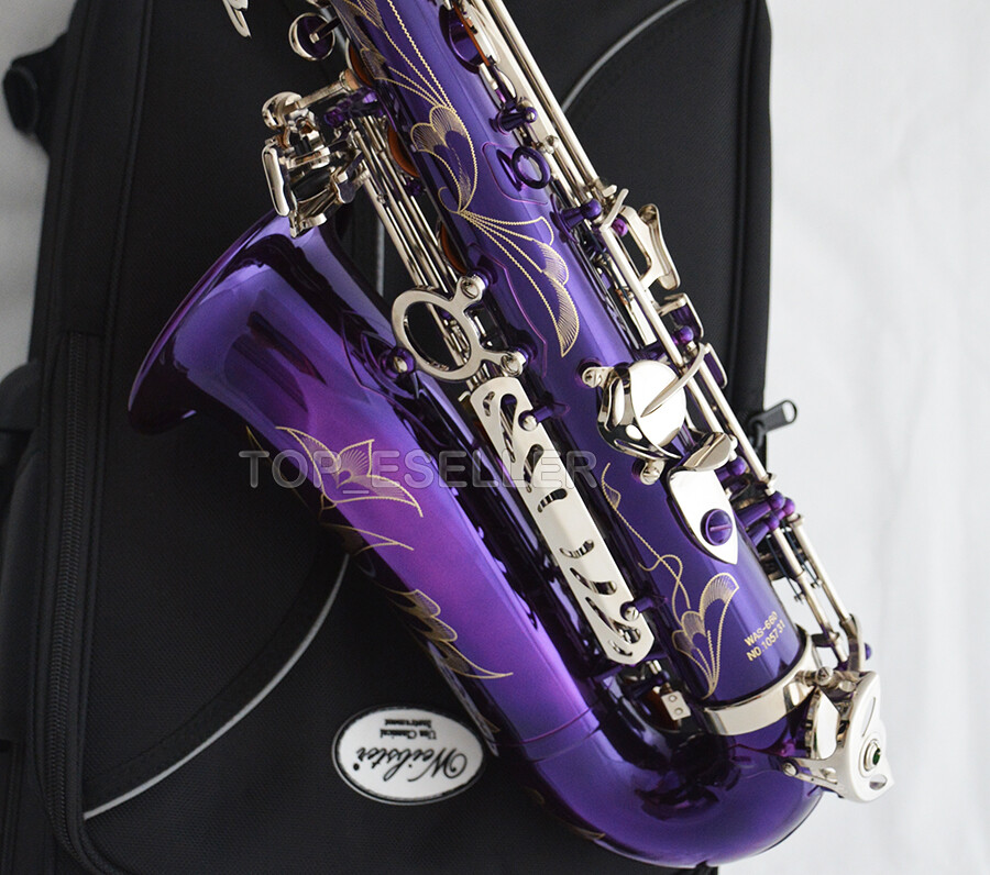 kappa sliver セット(taro purple) Twin Color Metallic Color Shift Wrap Silver Purple – wrapteck