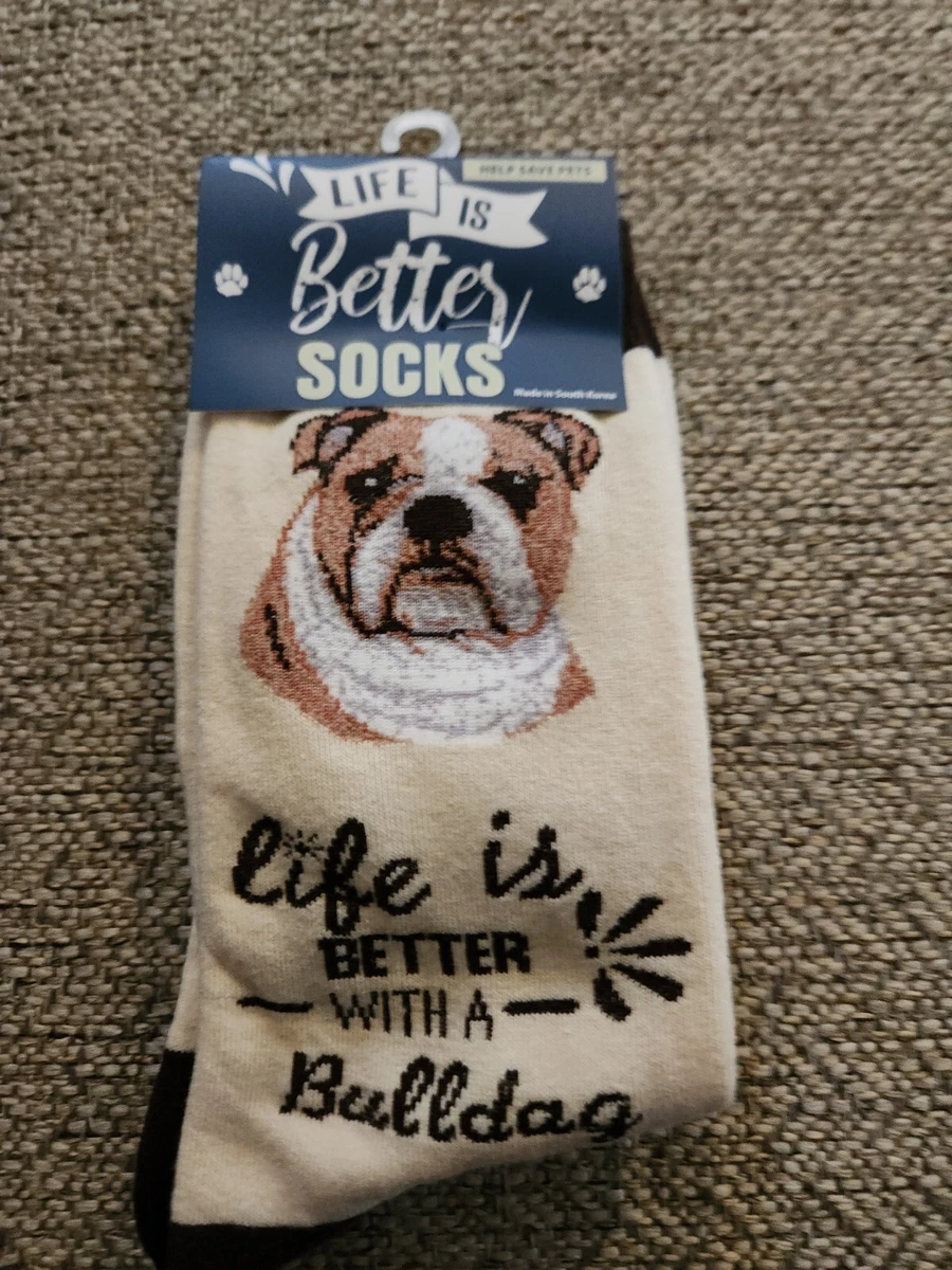 Dog socks best sale pets at home