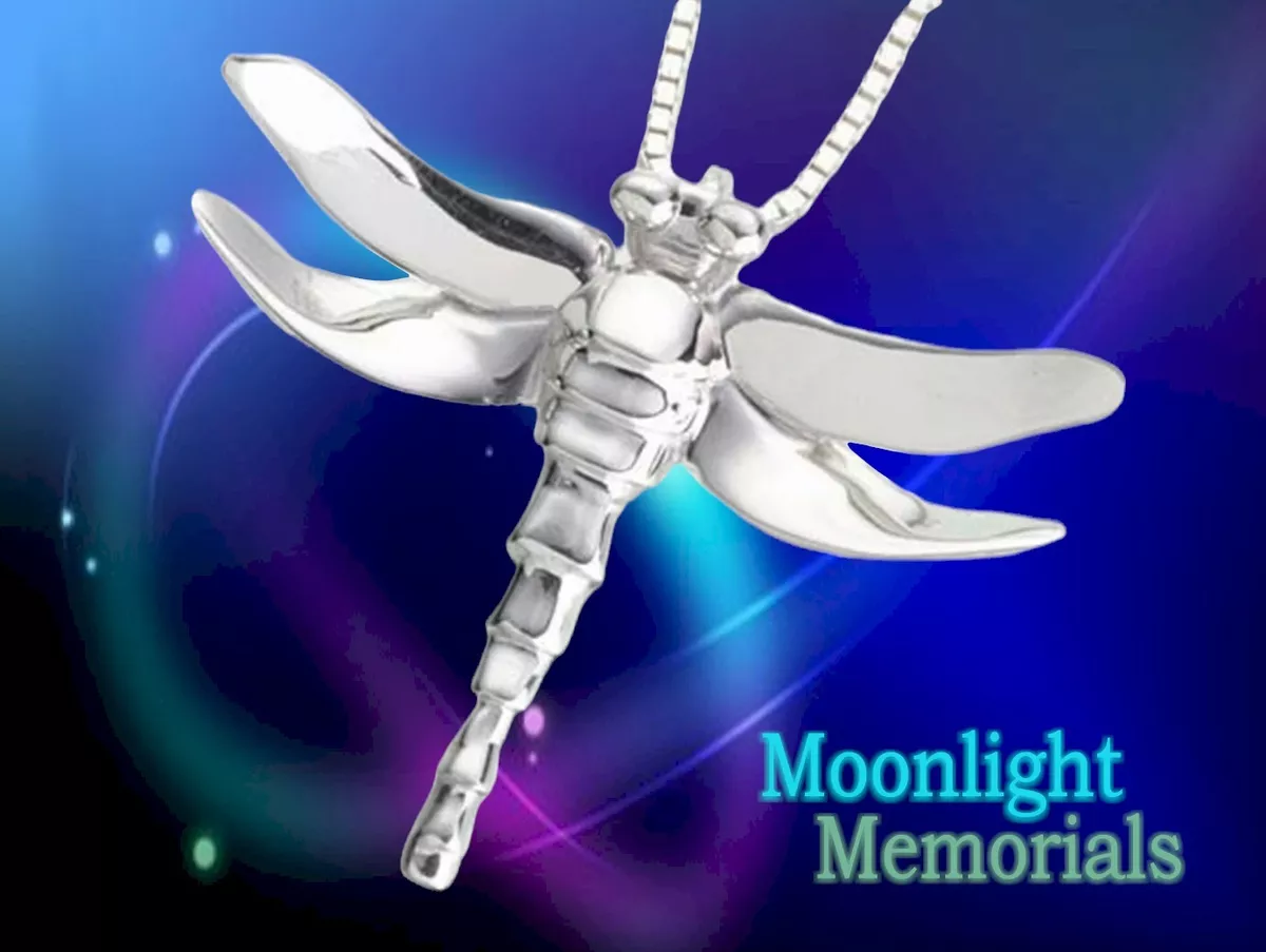 Dragonfly shop ashes necklace