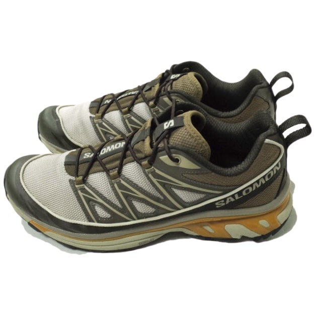 Salomon XT-6 EXPANSE 75th 29cm