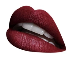 LASplash Wickedly Divine Liquid Lipstick Wrath Red New in Box