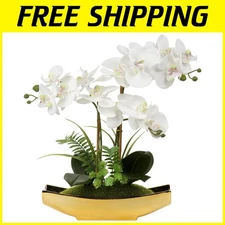 Elegant 15” White Phalaenopsis Orchid in Gold Pot - Perfect Table Centerpiece