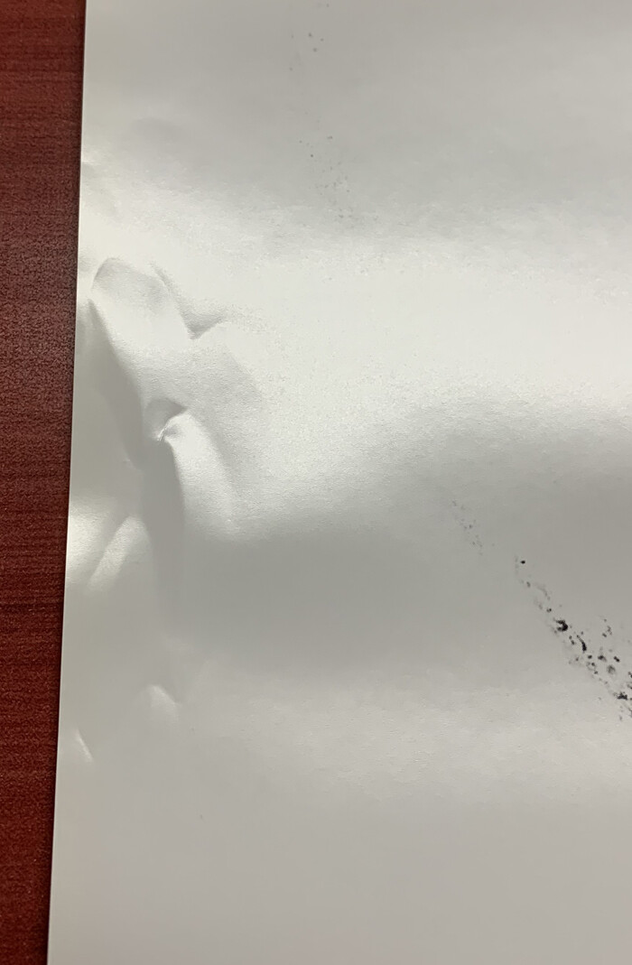 Picture 4 of 4