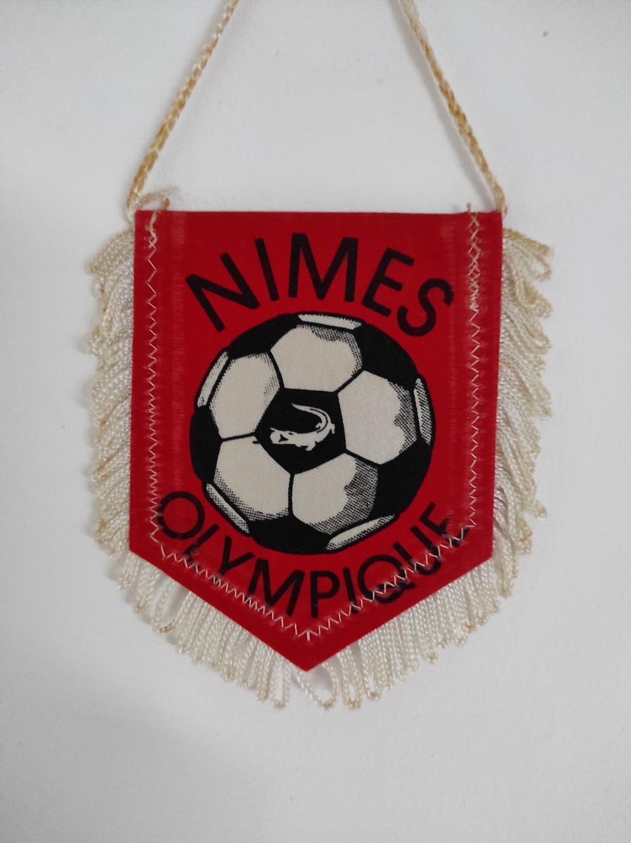 FANION FOOTBALL ANCIEN vintage WIMPEL PENNANT - Southampton Football Club EUR 3,90 - FR