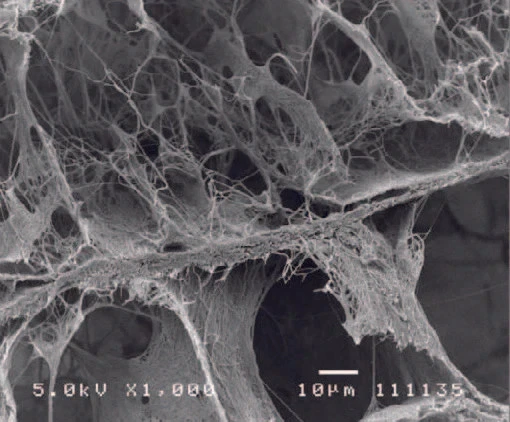 Apósito para heridas de colágeno Curagen enchufe de 10x20 mm; 10 piezas/caja #HAD001020 Foto 2 de 2