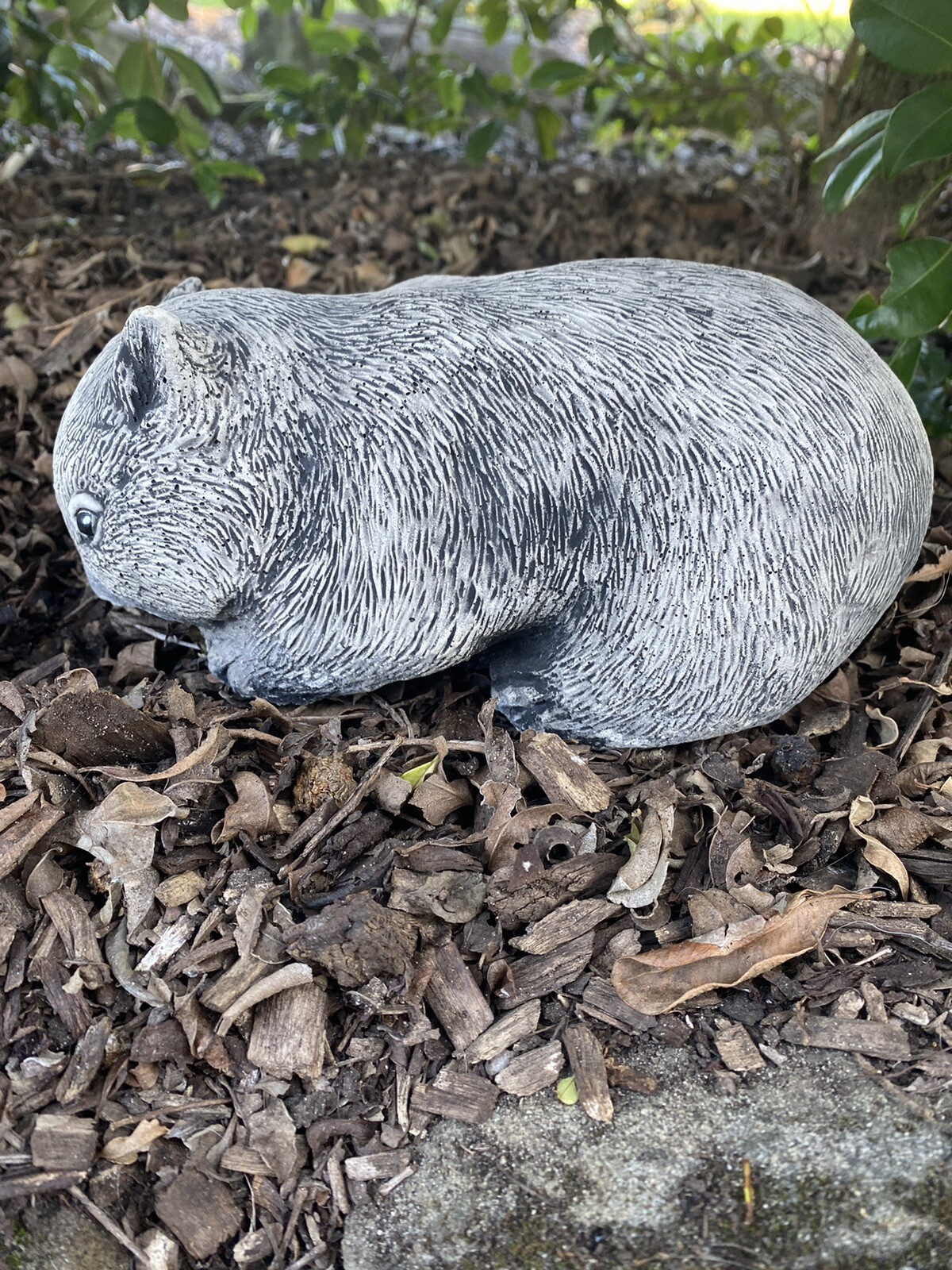Australian Wombat Grazing Statue Ornament Animal Concrete Garden