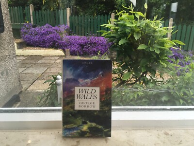 Wild Wales hardback book by George Borrow