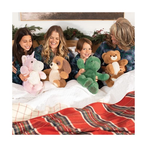 vermont teddy bear dinosaur