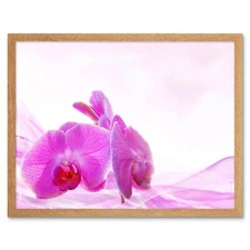 Pink Orchid Pretty Flowers 12X16 Inch Framed Art Print