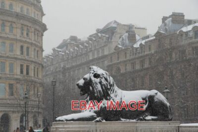 PHOTO  TRAFALGAR SQUARE LONDON W1 ONE OF THE LIONS IN TRAFALGAR SQUARE.  2013