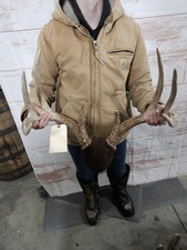 Wild 10 Point Whitetail Deer Antler Rack Skull Plate Man Cave Cabin Typical 136"