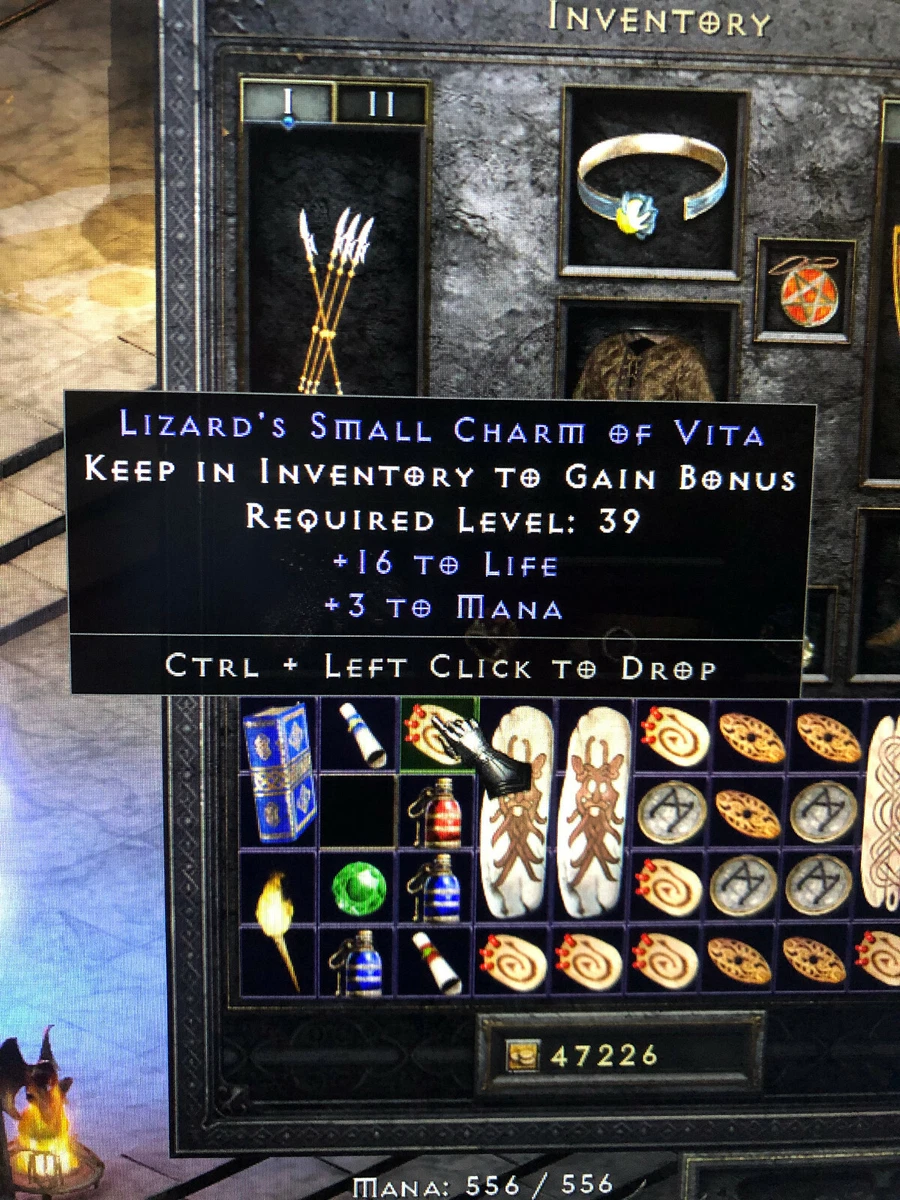 DIABLO 2: RESURRECTED✅ +16 LIFE, 3 MANA SMALL CHARM SC ✅PC SC