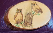 Wooden Nesting Family of Owls Picture
