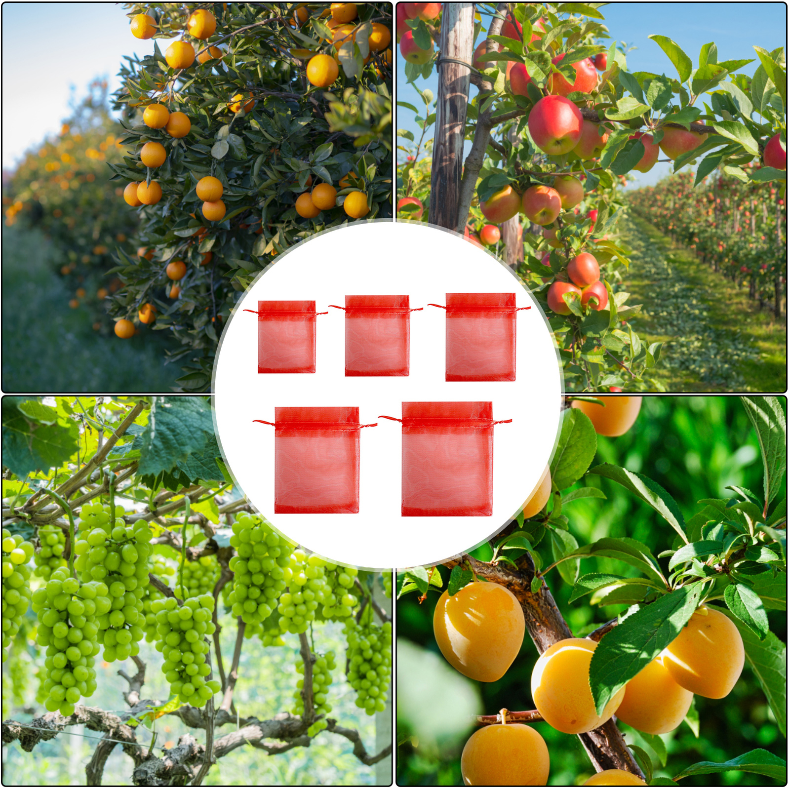 100pcs Fruit Protection Bags Drawstring Design Fruit Tree Net Bag for