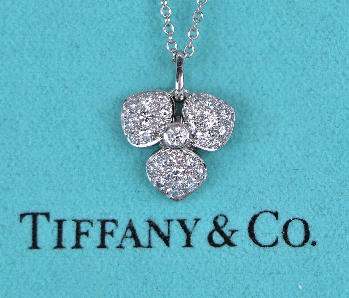 Platinum locket hotsell and chain