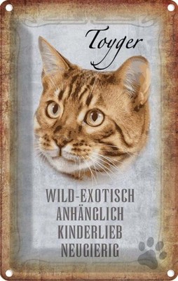 Blechschild 30x20 cm Toyger Katze Tier Haustier Deko Geschenk Metall Schild