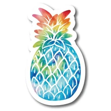 Tie Dye Pineapple Magnet Decal, Upside Down Pineapple, 6x4 Inch, Funny Gag Gift