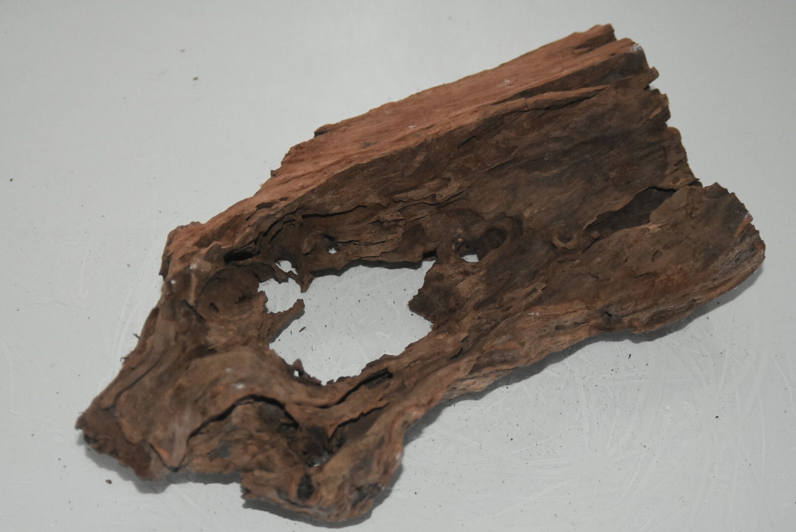 Real Structured Half Open Aquarium Bog Wood SHOBWF Suitable For Fish